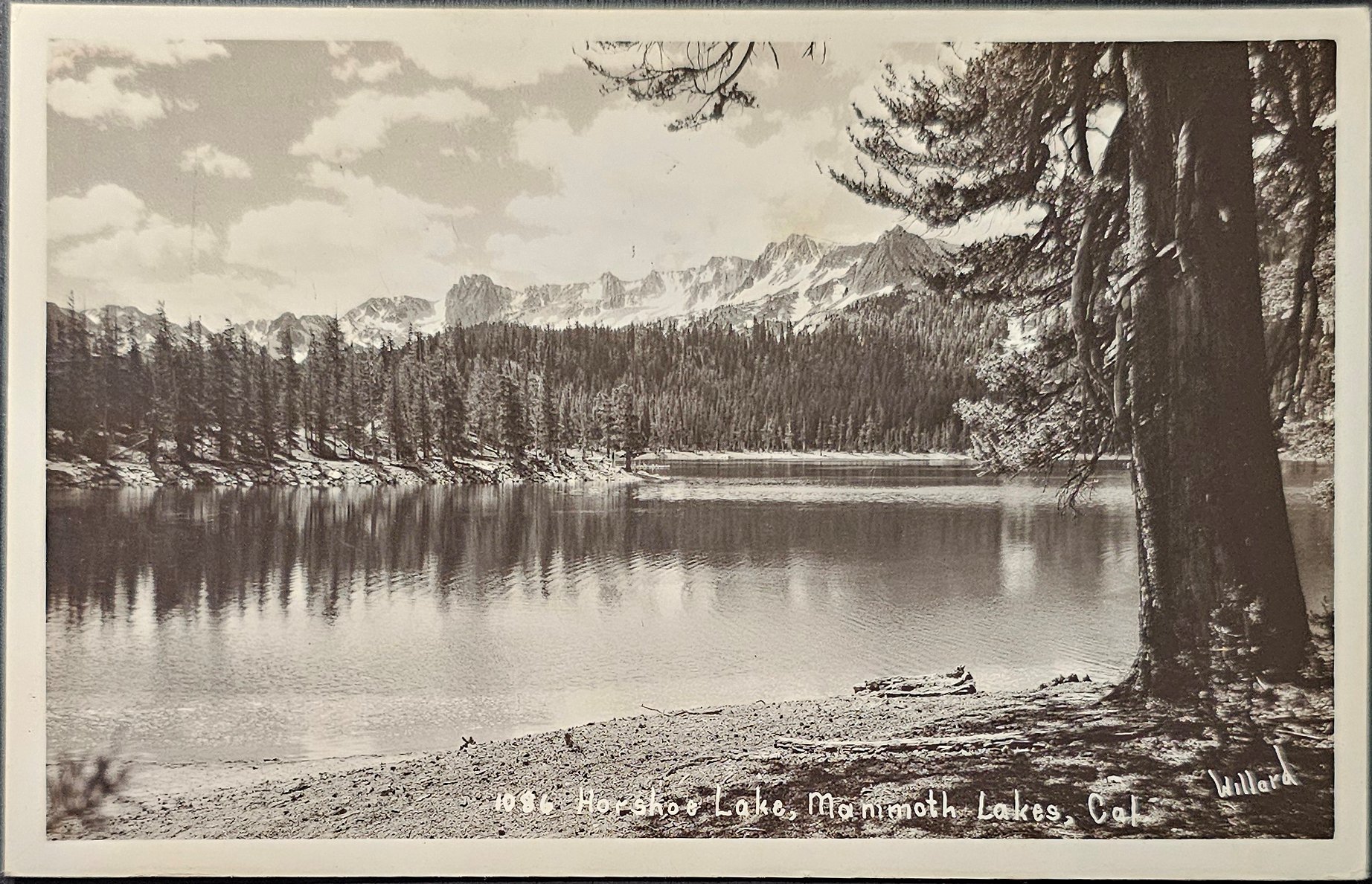 (image for) postcard USA - CA - California #0154